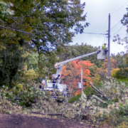 Common Causes of Power Lineman Injuries and OSHA Compliance